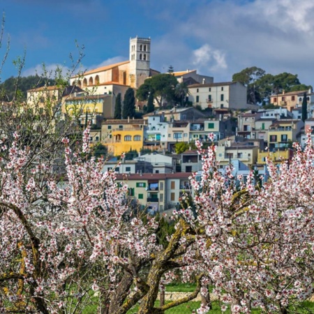 Blossoming in the village of Selva in Majorca, Balearic Islands