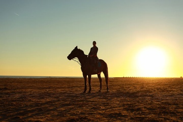 Equestrian touring